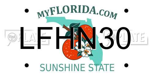LFHN30 Florida License Plate