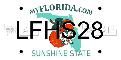 LFHS28 Florida License Plate