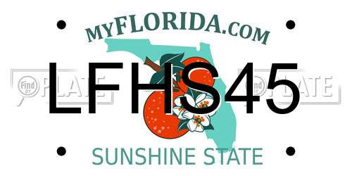 LFHS45 Florida License Plate