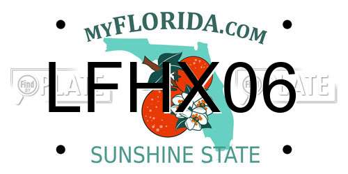 LFHX06 Florida License Plate