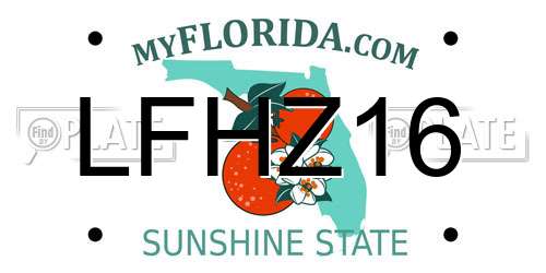 LFHZ16 Florida License Plate
