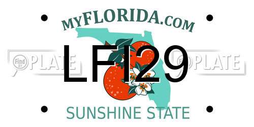 LFI29 Florida License Plate