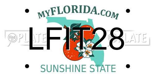LFIT28 Florida License Plate
