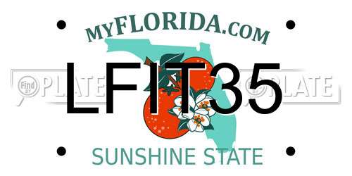 LFIT35 Florida License Plate