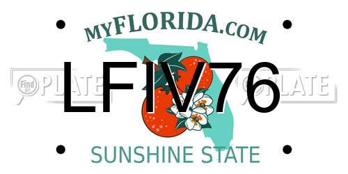 LFIV76 Florida License Plate