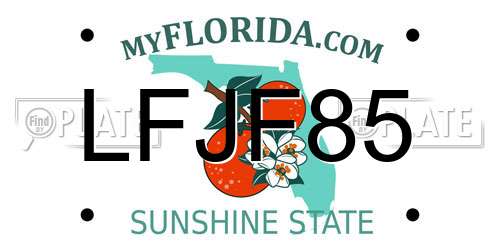 LFJF85 Florida License Plate