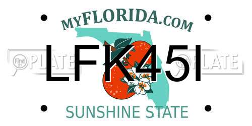 LFK45I Florida License Plate