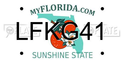 LFKG41 Florida License Plate