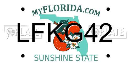 LFKG42 Florida License Plate