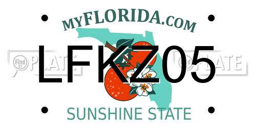 LFKZ05 Florida License Plate