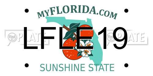 LFLE19 Florida License Plate