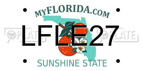 LFLE27 Florida License Plate