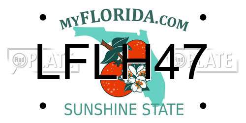 LFLH47 Florida License Plate