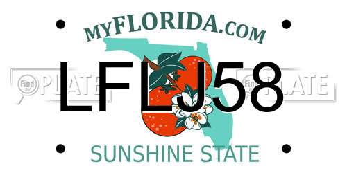 LFLJ58 Florida License Plate