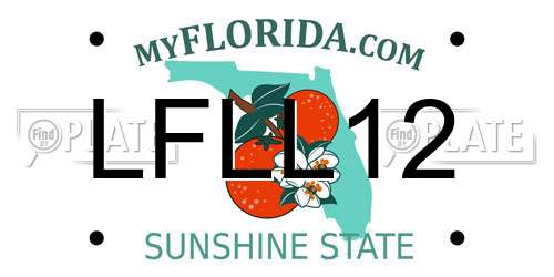 LFLL12 Florida License Plate