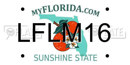 LFLM16 Florida License Plate