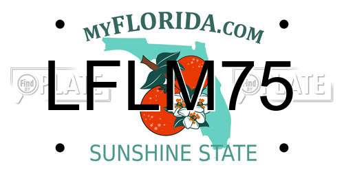 LFLM75 Florida License Plate