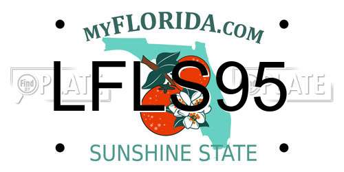 LFLS95 Florida License Plate