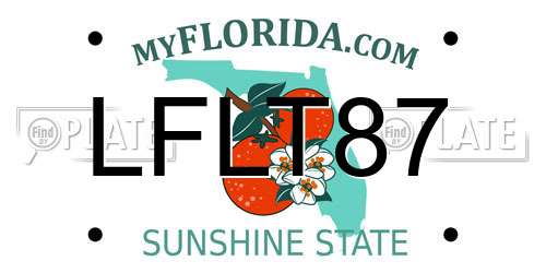 LFLT87 Florida License Plate