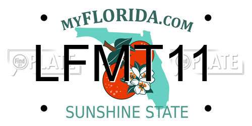 LFMT11 Florida License Plate