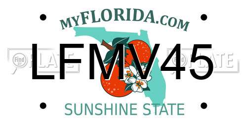 LFMV45 Florida License Plate