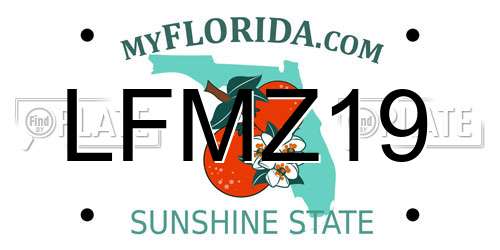 LFMZ19 Florida License Plate