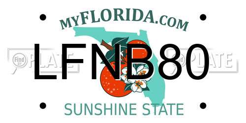 LFNB80 Florida License Plate