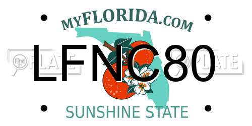 LFNC80 Florida License Plate