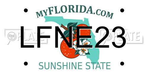 LFNE23 Florida License Plate