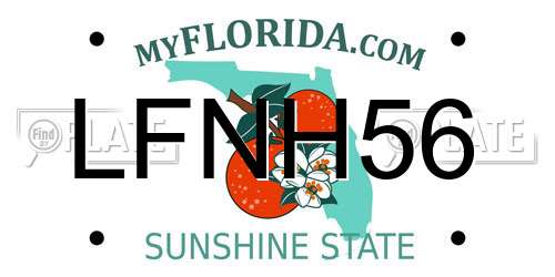 LFNH56 Florida License Plate