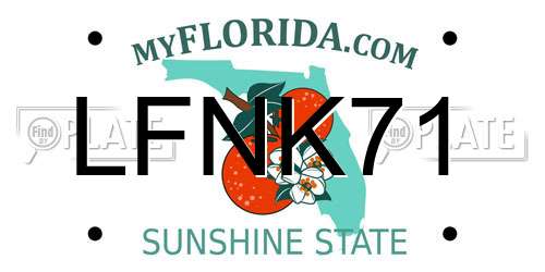 LFNK71 Florida License Plate