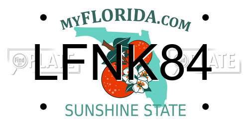 LFNK84 Florida License Plate