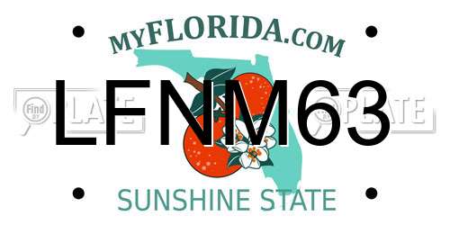 LFNM63 Florida License Plate