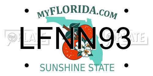 LFNN93 Florida License Plate