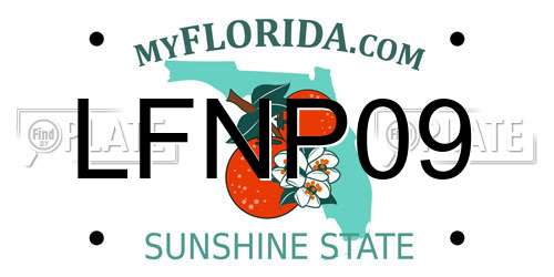 LFNP09 Florida License Plate