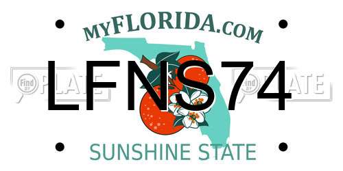 LFNS74 Florida License Plate