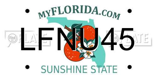 LFNU45 Florida License Plate