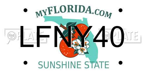 LFNY40 Florida License Plate