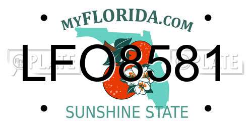 LFO8581 Florida License Plate