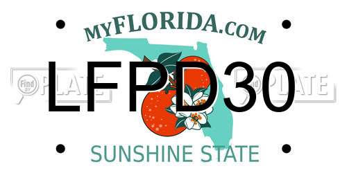 LFPD30 Florida License Plate