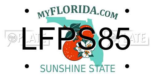 LFPS85 Florida License Plate
