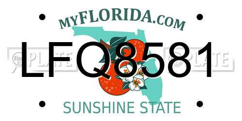 LFQ8581 Florida License Plate