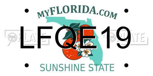 LFQE19 Florida License Plate