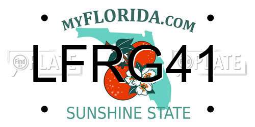 LFRG41 Florida License Plate