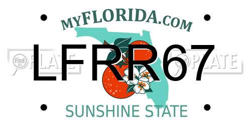 LFRR67 Florida License Plate