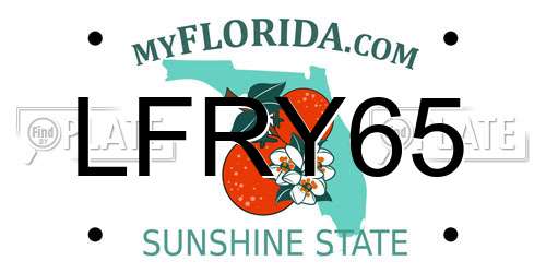 LFRY65 Florida License Plate