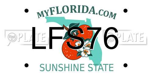 LFS76 Florida License Plate