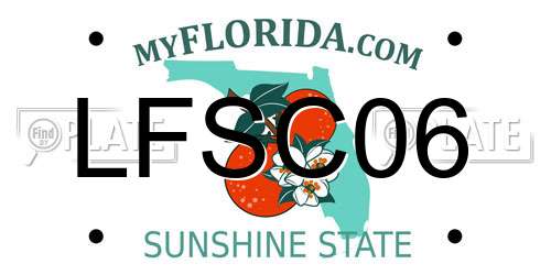 LFSC06 Florida License Plate