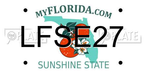 LFSE27 Florida License Plate