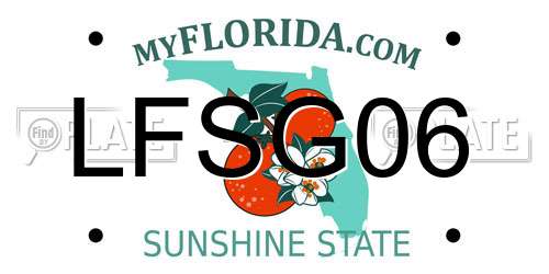 LFSG06 Florida License Plate